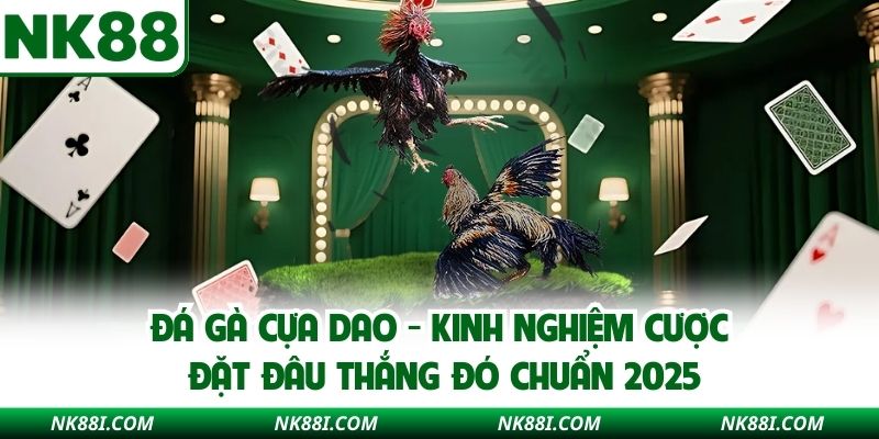 Đá Gà Cựa Dao NK88 - Kinh Nghiệm Cược Đặt Đâu Thắng Đó