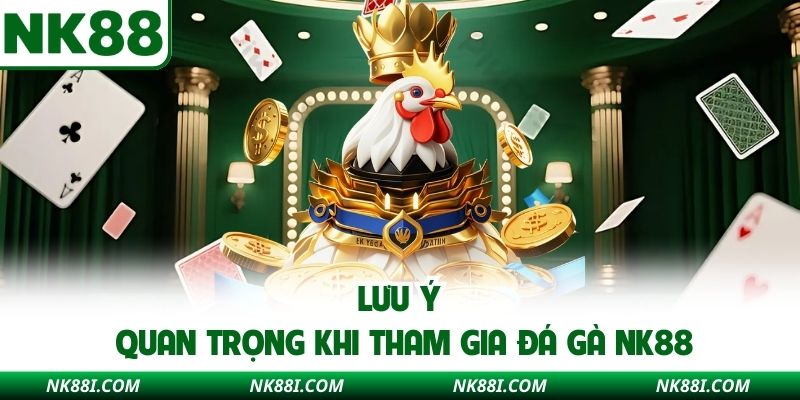 Lưu ý quan trọng khi tham gia đá gà NK88
